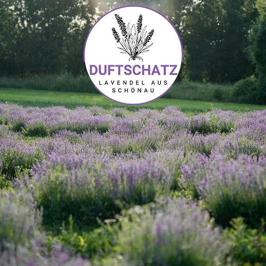 Goldschatz Duftschatz Honig Collection mit Logo